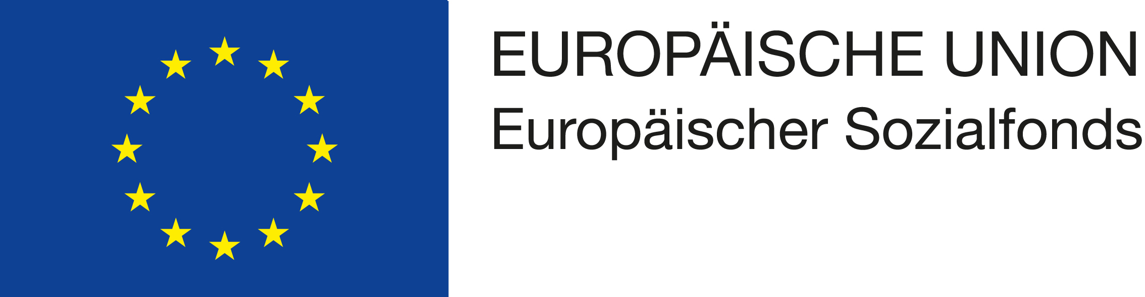 EU Logomit EU und ESF Schriftzg rechts oben neben der Fahne